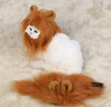 Halloween Lion Mane Costume - Paw Pals