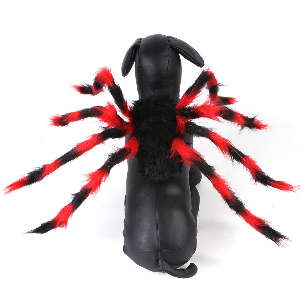 Halloween Spider Costume - Paw Pals