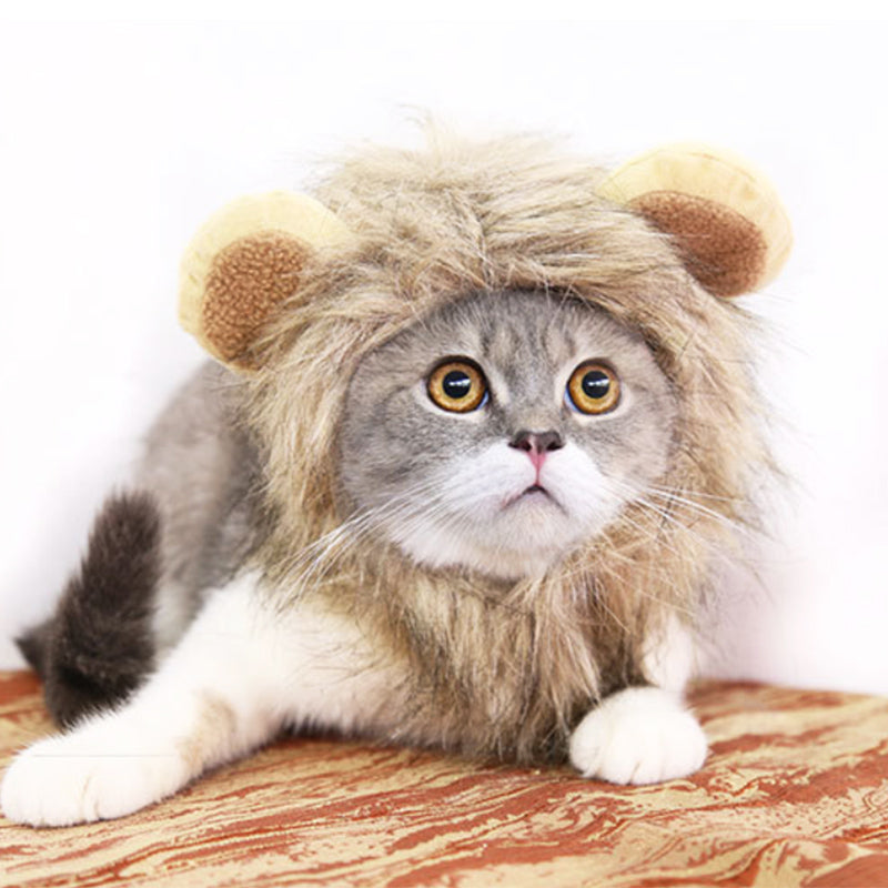 Halloween Lion Mane Costume - Paw Pals