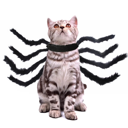 Halloween Spider Costume - Paw Pals