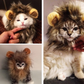 Halloween Lion Mane Costume - Paw Pals