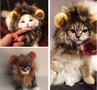 Halloween Lion Mane Costume - Paw Pals