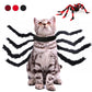 Halloween Spider Costume - Paw Pals