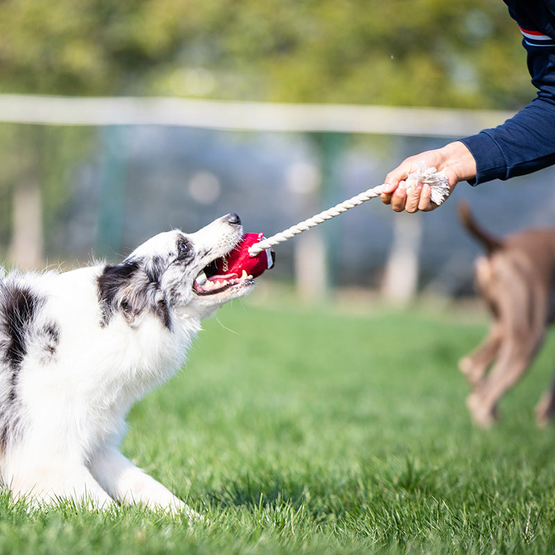 Teeth Cleaning Dog Chew Toy - Paw Pals