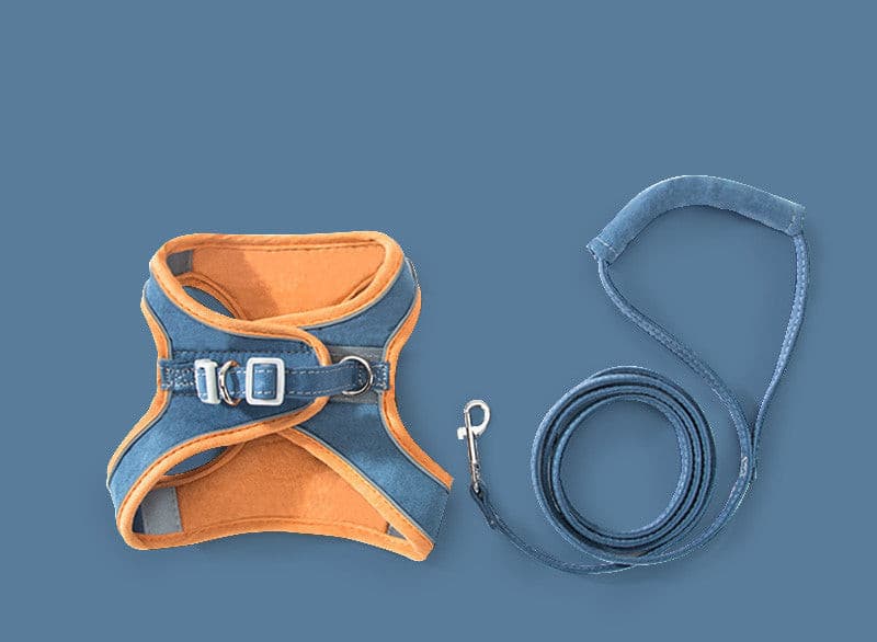 Cat Chest Harness with Walk Rope - Paw Pals