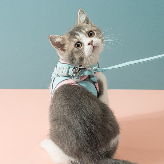 Cat Chest Harness with Walk Rope - Paw Pals