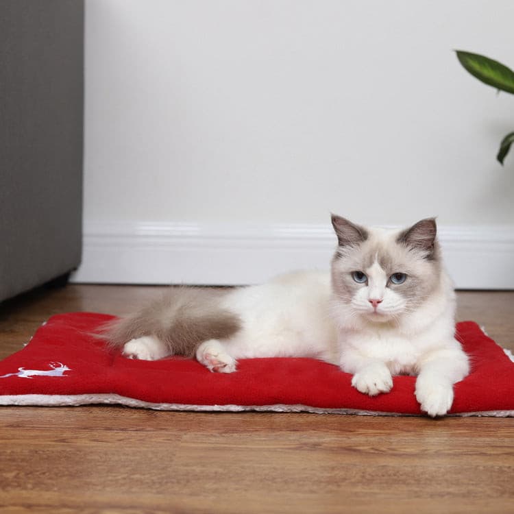 Christmas Pet Mat - Paw Pals