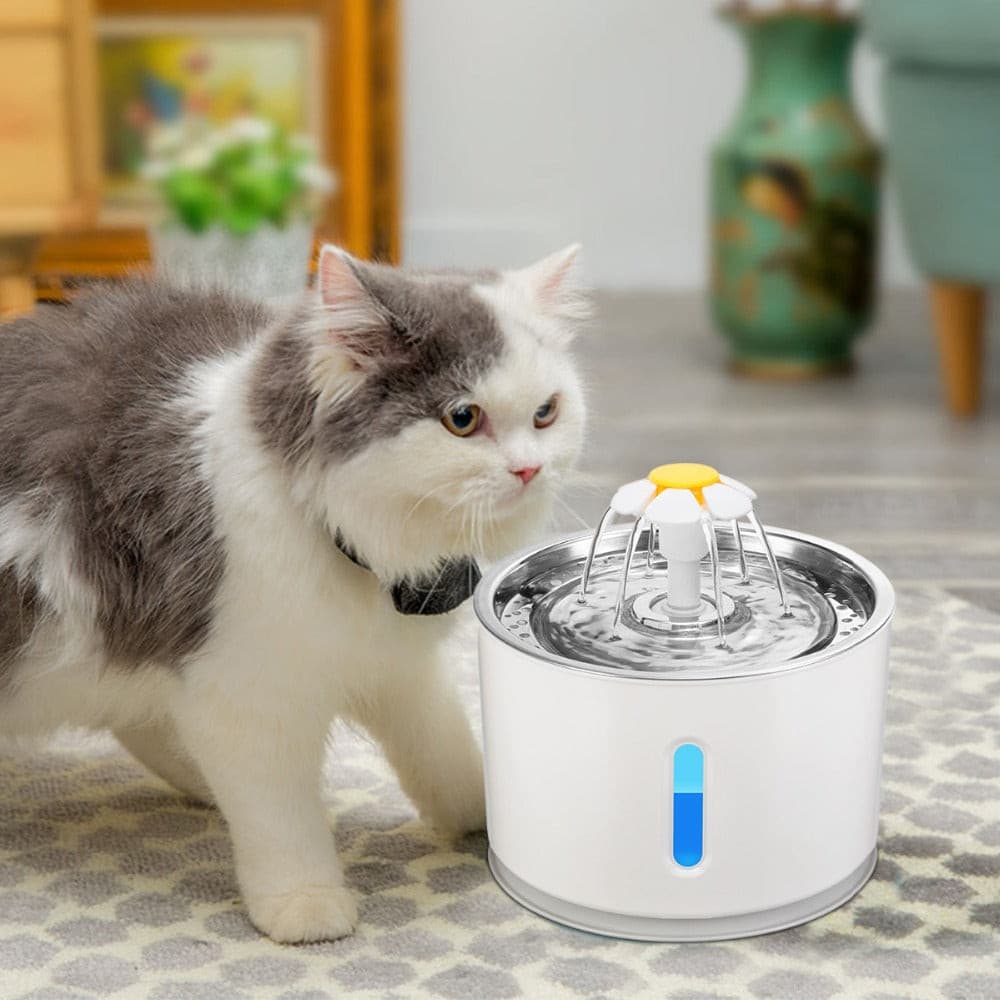 Automatic Pet Cat Water Fountain with LED Light - Paw Pals