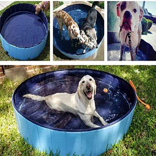 Foldable Swimming Pool - Paw Pals