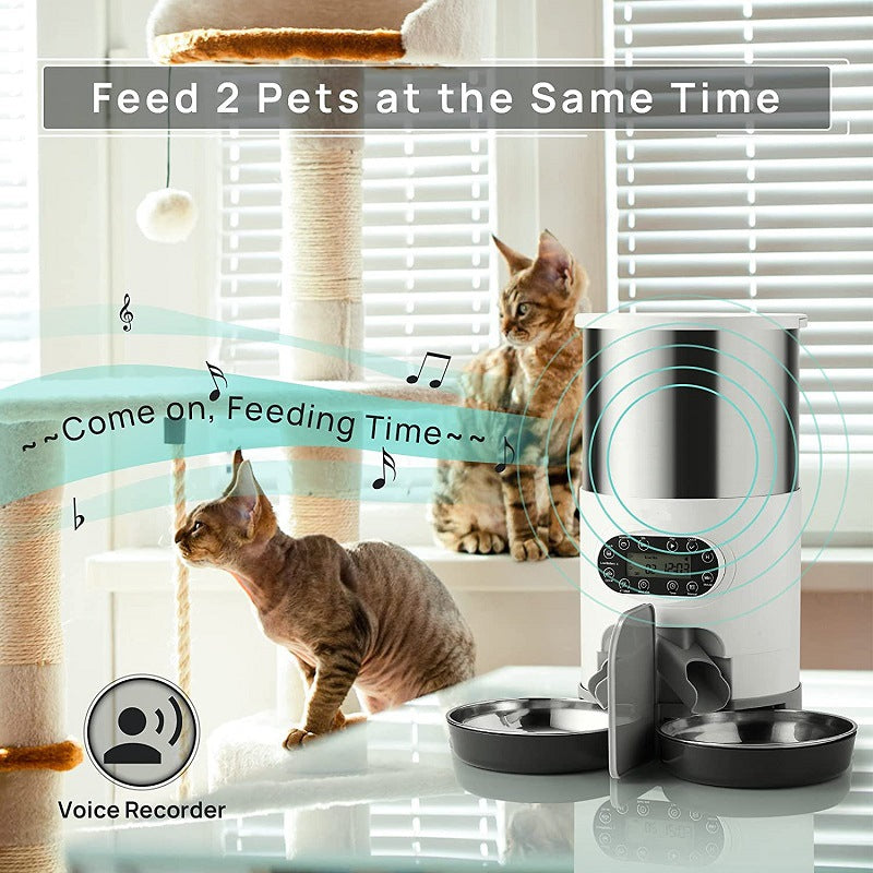 Automatic Pet Feeder - Paw Pals