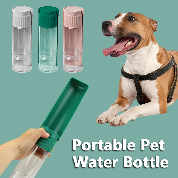 Portable Pet Water Bottle - Paw Pals