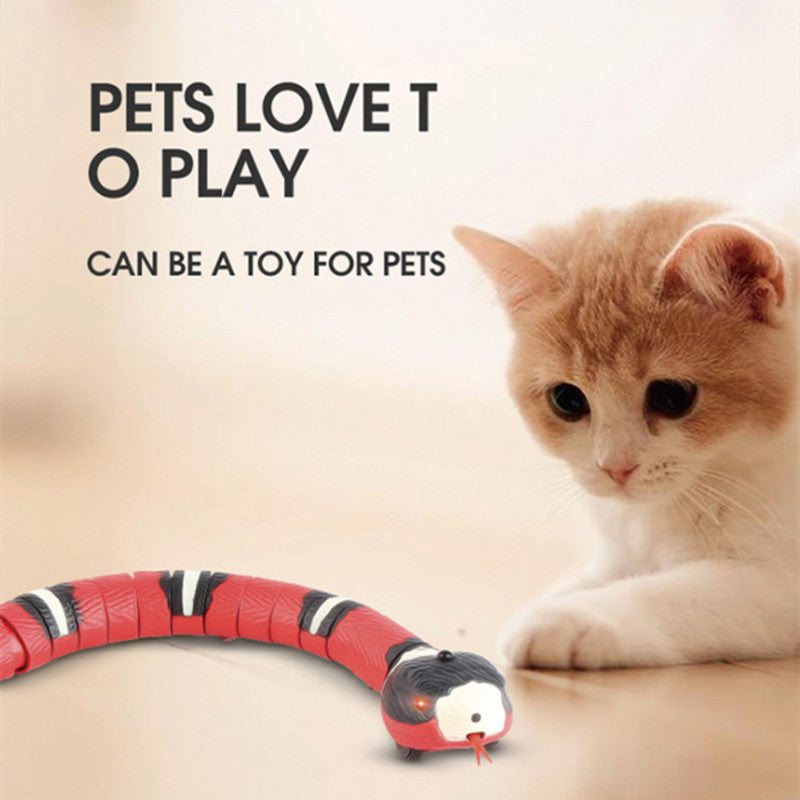 Snake Cat Toy - Paw Pals