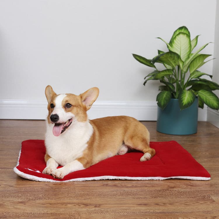 Christmas Pet Mat - Paw Pals