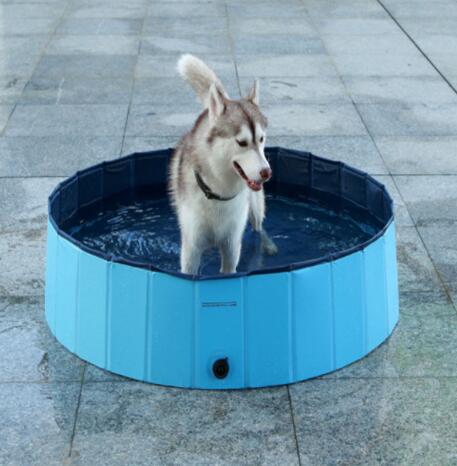 Foldable Swimming Pool - Paw Pals