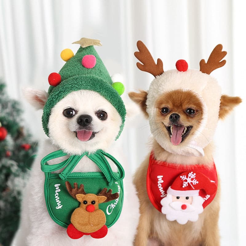 Pet Christmas Hat & Bib - Paw Pals