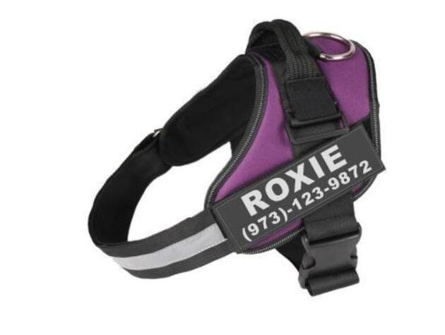 Personalized Reflective Dog Harness - Paw Pals